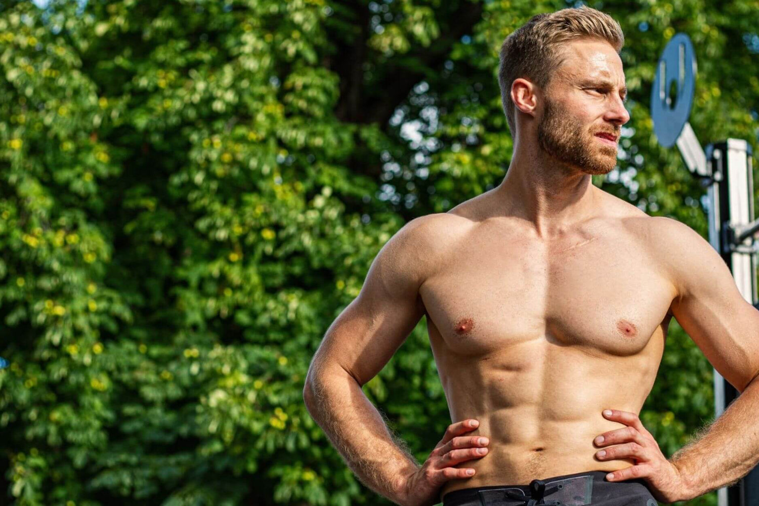 Muskelaufbau & Abnehmen – Geht beides gleichzeitig?