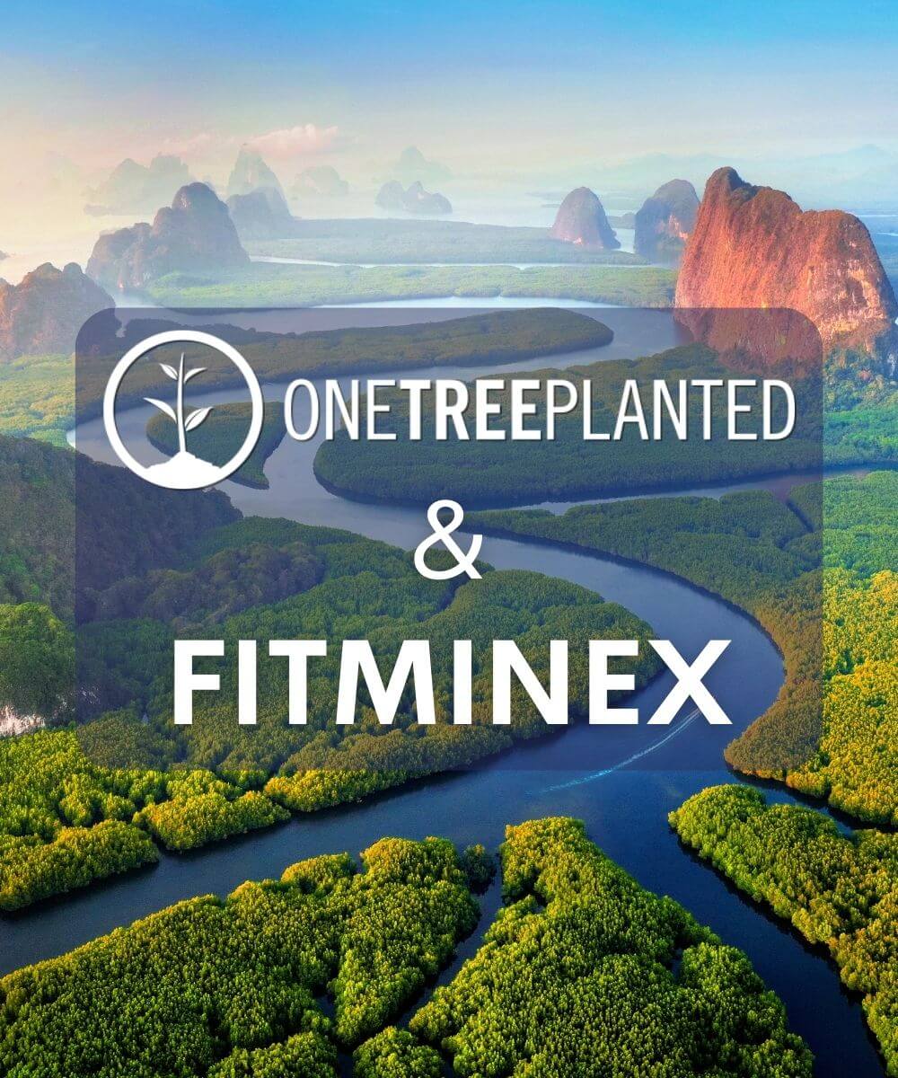 OneTreePlanted_Nachhaltigkeit_Baeume_pflanzen