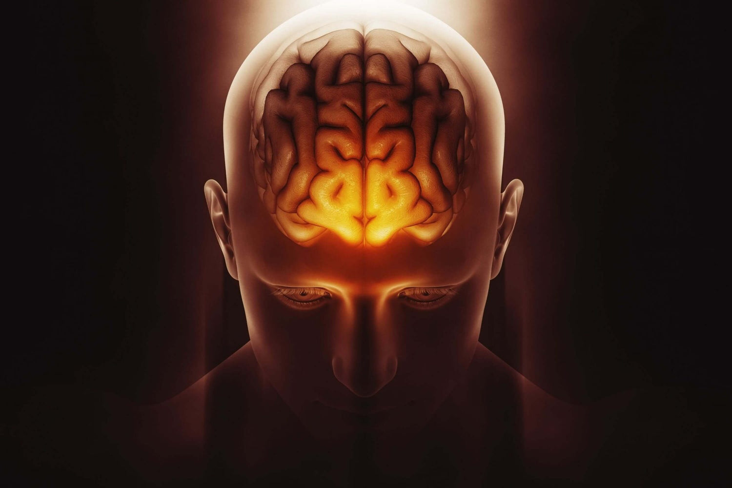 Neuroathletik – Fit & schmerzfrei durch „gehirngerechtes“ Training